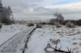 /album/de-omgeving/knuppelpad-sneeuw-jpg/